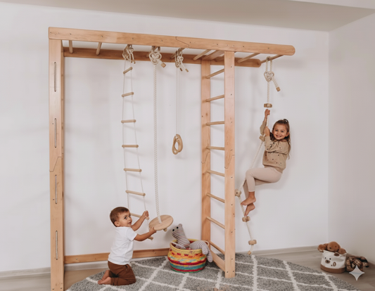 Montessori-inspired Swedish Ladder gym