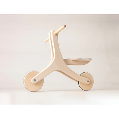 Kids Walker Cum Cycle | 4-in-1 Kids Scooter | Wooden Kids Toys