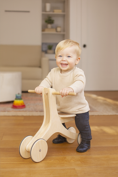 Kids Walker Cum Cycle | 4-in-1 Kids Scooter | Wooden Kids Toys